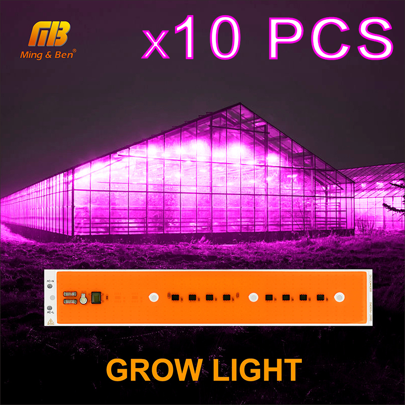 10 PCS LED Ĺ   Ĩ Phytolamp  ü Ʈ..